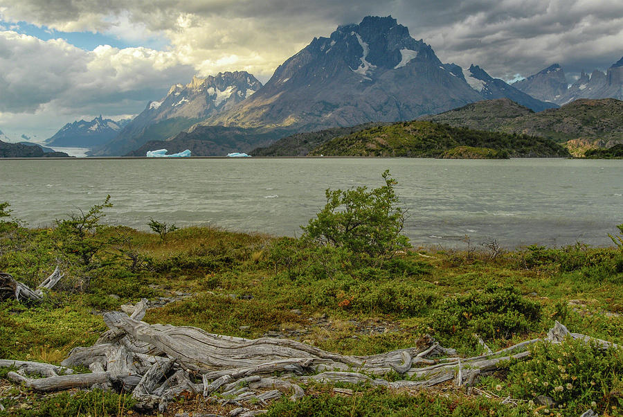 Lago Grey - Torres del Paine Photograph by Alan Toepfer