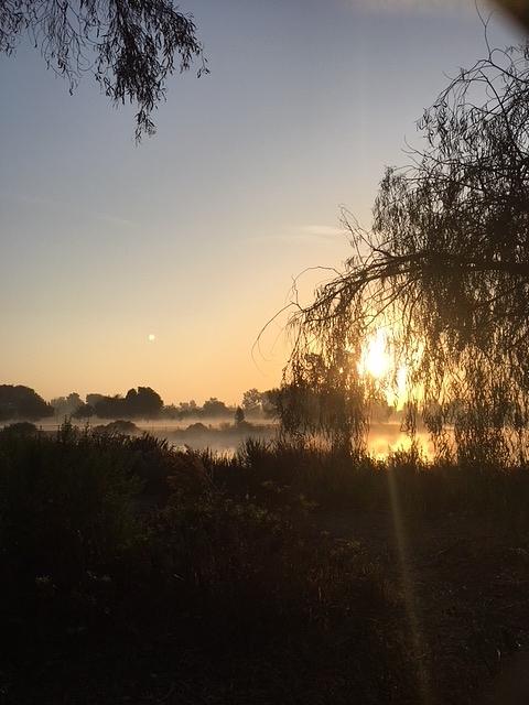 Lagoon Blanketed by Fog by Paula Hunter Lagoon Blanketed by Fog by Paula Hunter