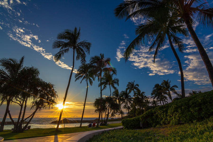 Lagoon Life Photograph By Donovan Gaboya - Fine Art America