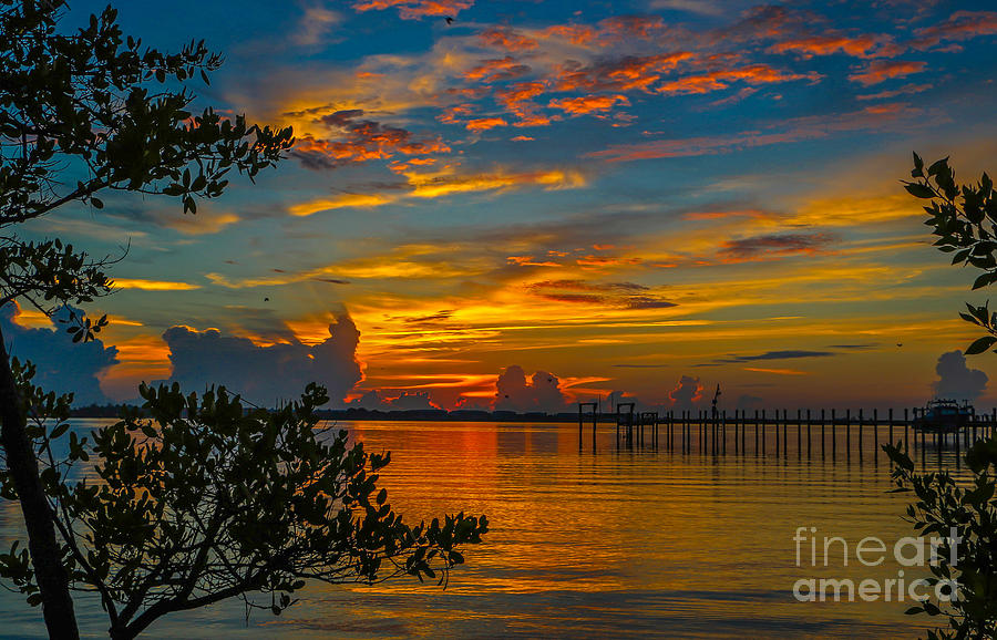 Lagoon Sunrise Photograph by Tom Claud