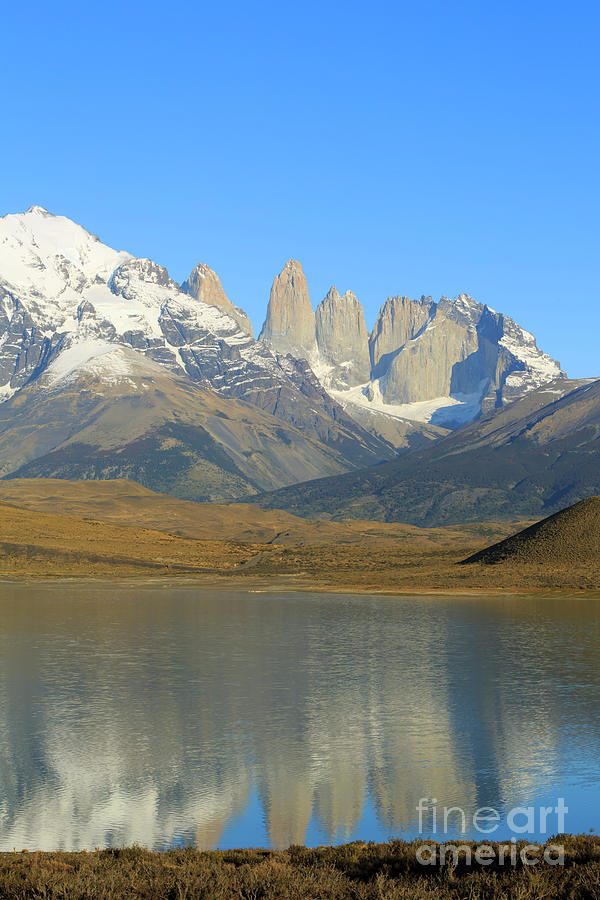 Laguna Amarga and the Torres del Paine in Patagonia Chile Photograph by Louise Heusinkveld