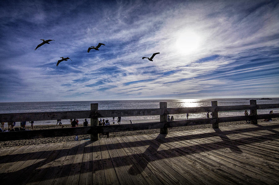 Laguna Beach Boardwalk with Flying Pelicans late afternoon Photograph by Randall Nyhof