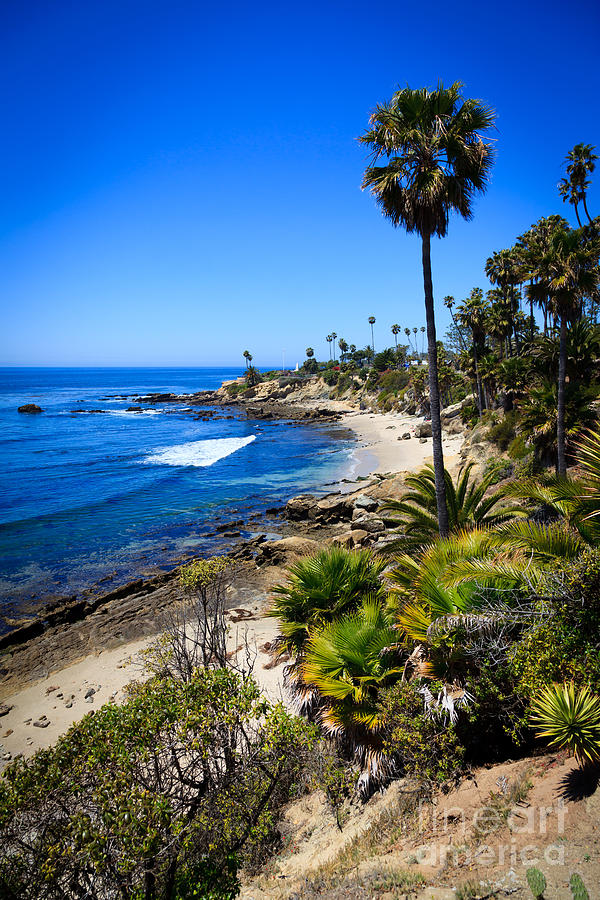 Beach Photograph - Laguna Beach California Beaches by Paul Velgos
