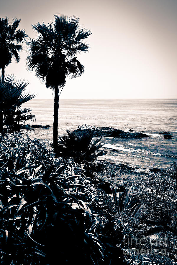 Black And White Photograph - Laguna Beach California Black and White by Paul Velgos