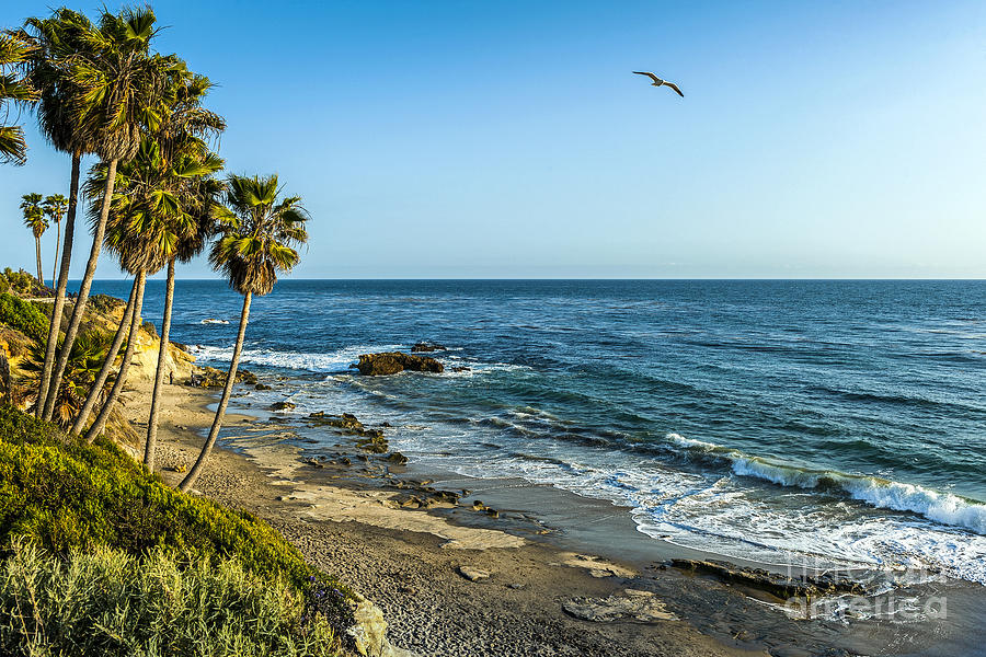 Laguna Beach Solitude Photograph by David Zanzinger