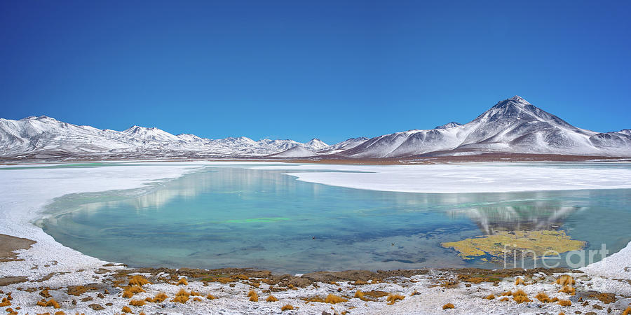Laguna Blanca in Bolivia Photograph by Delphimages Photo Creations