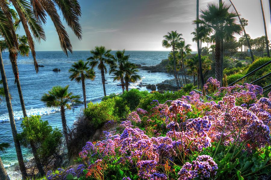 Laguna Coastline Photograph by Randy Dyer - Fine Art America