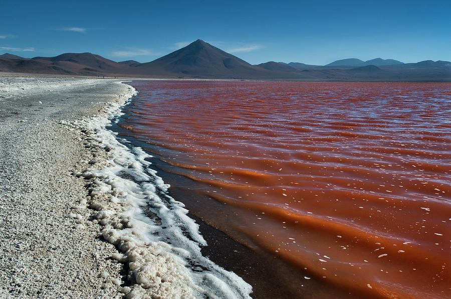 Laguna Colorada.Bolivia Photograph by Eric Bauer | Fine Art America