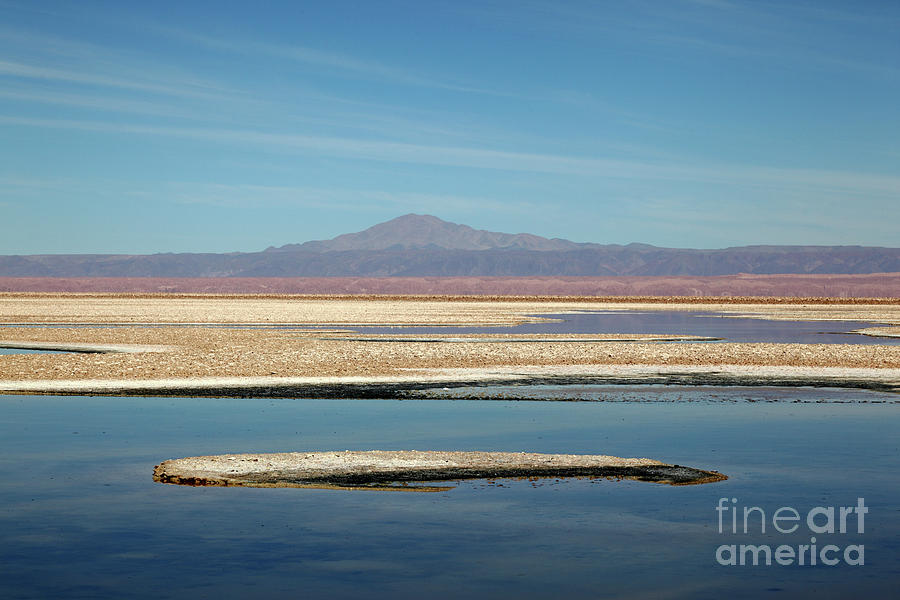 Laguna de Chaxa Salt Lake Chile Photograph by James Brunker