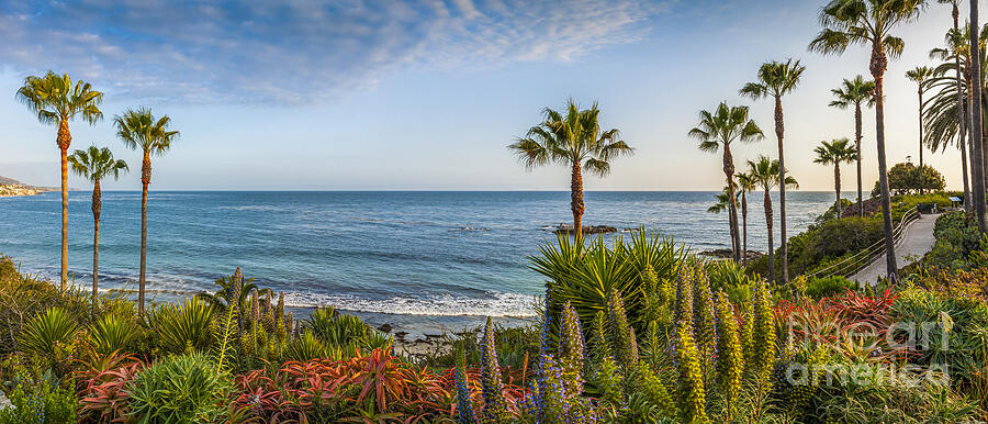 Seascape Panorama Photograph by David Zanzinger