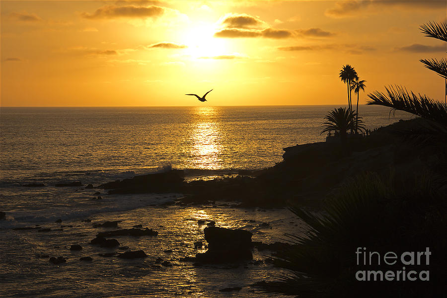 Laguna Sunset Photograph by Kelly Holm