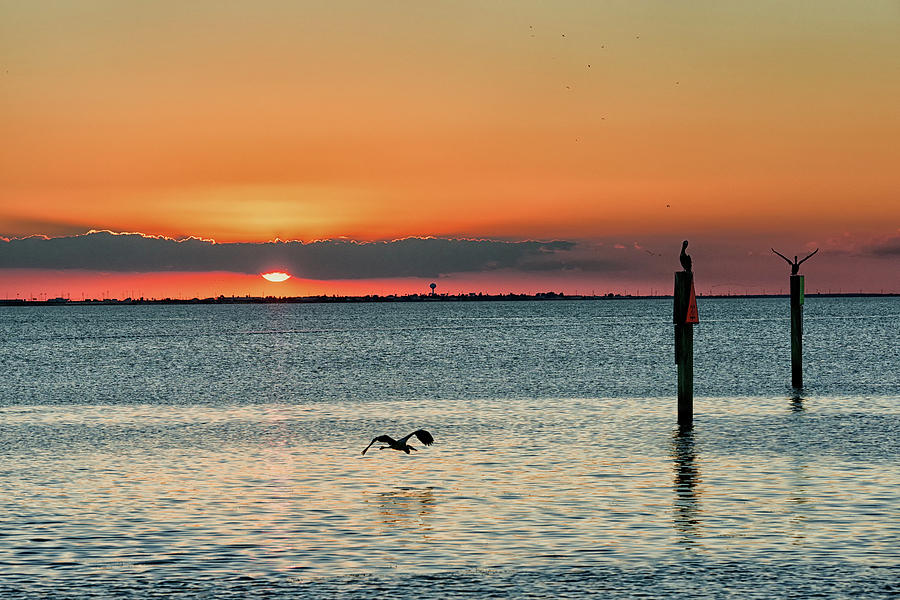Laguna Vista Sunset Photograph by Victor Culpepper