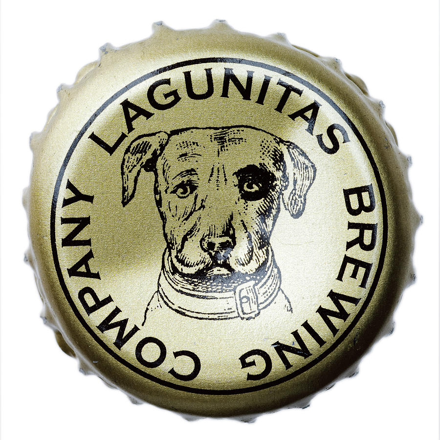 Lagunitas Dog Photograph by Kent Miller | Fine Art America