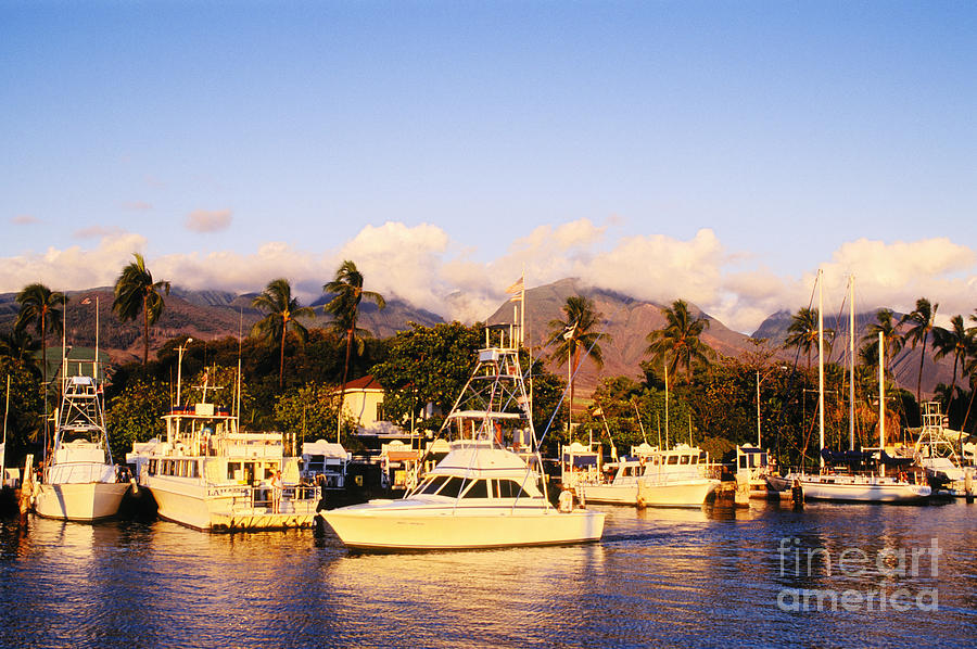 Lahaina Harbor Photograph by Greg Vaughn - Printscapes
