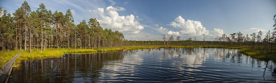 Beautiful river in forest Photograph by Sandra Rugina - Fine Art America