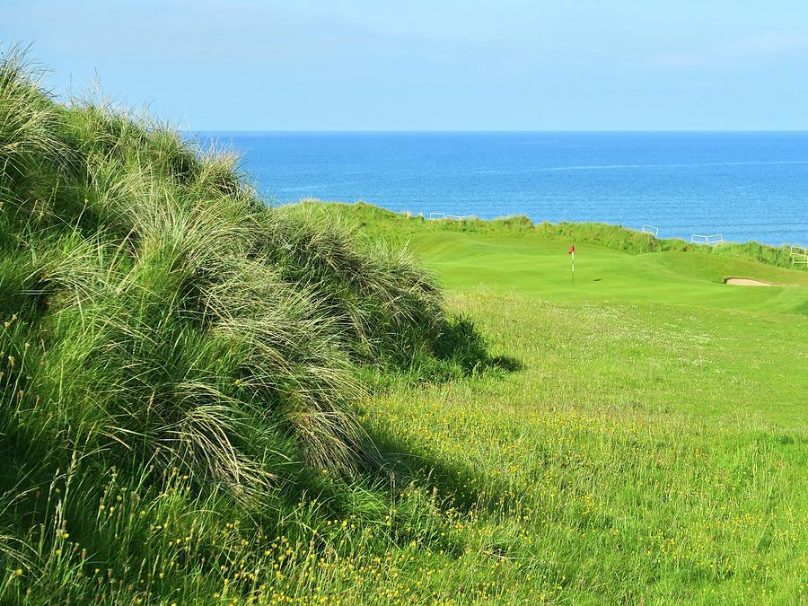 Lahinch Golf Club - Hole #6 - Dune Grass Photograph