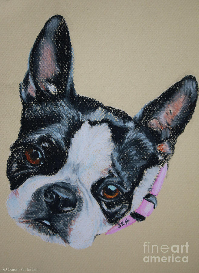 Lainey Pastel by Susan Herber