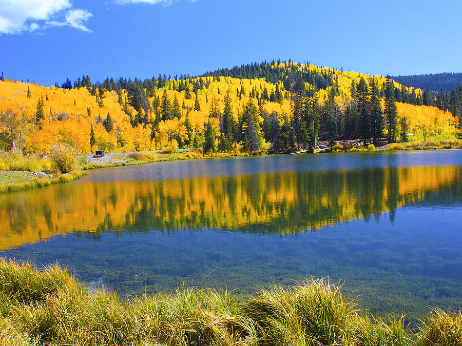 Lake 3 on Grand Mesa Photograph by Lowell Monke - Fine Art America