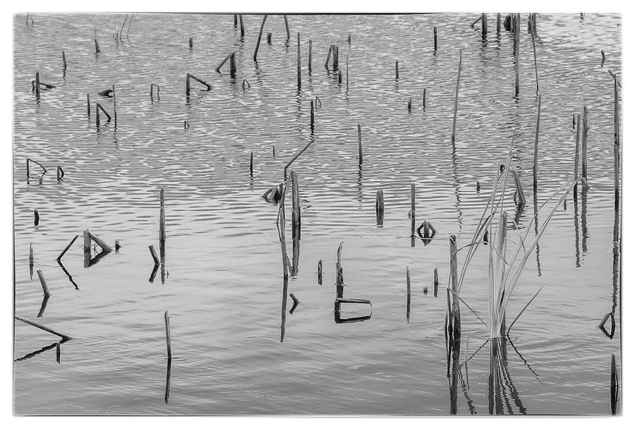 Lake abstract Photograph by Carolyn DAlessandro