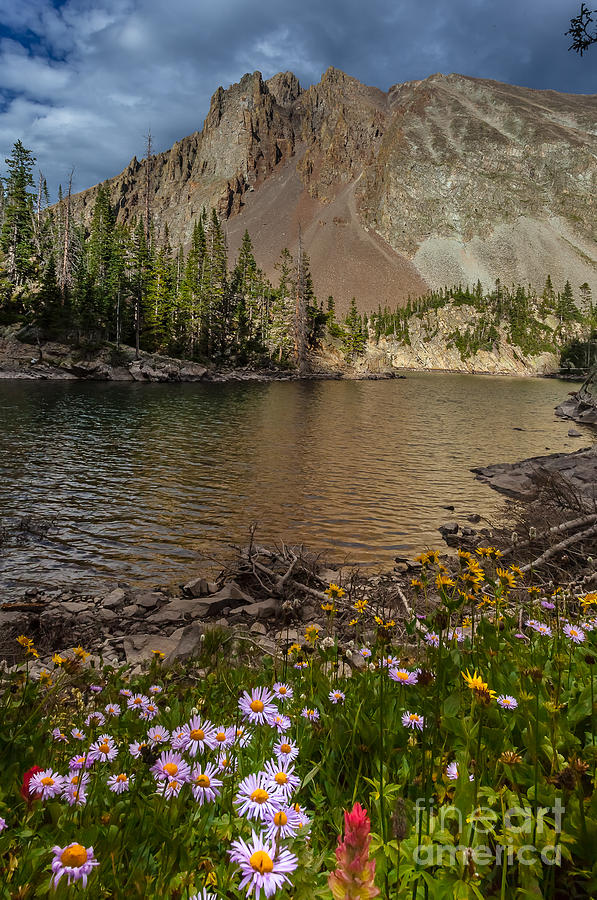 Lake Agnes Photograph by Steven Reed