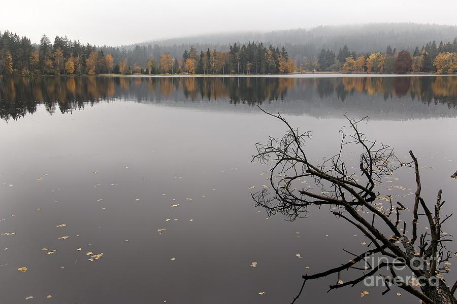 Lake and Autumn Forest Photograph by Michal Boubin