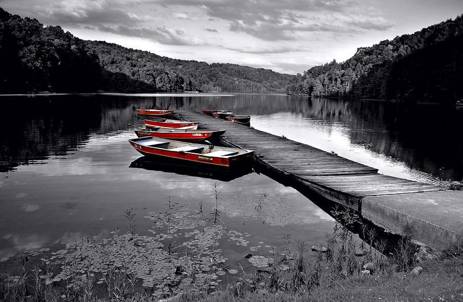 Lake and Boats Photograph by Lisa Lambert-Shank