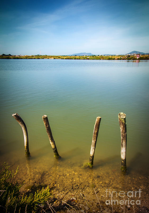 Nature Photograph - Lake and Poles by Carlos Caetano