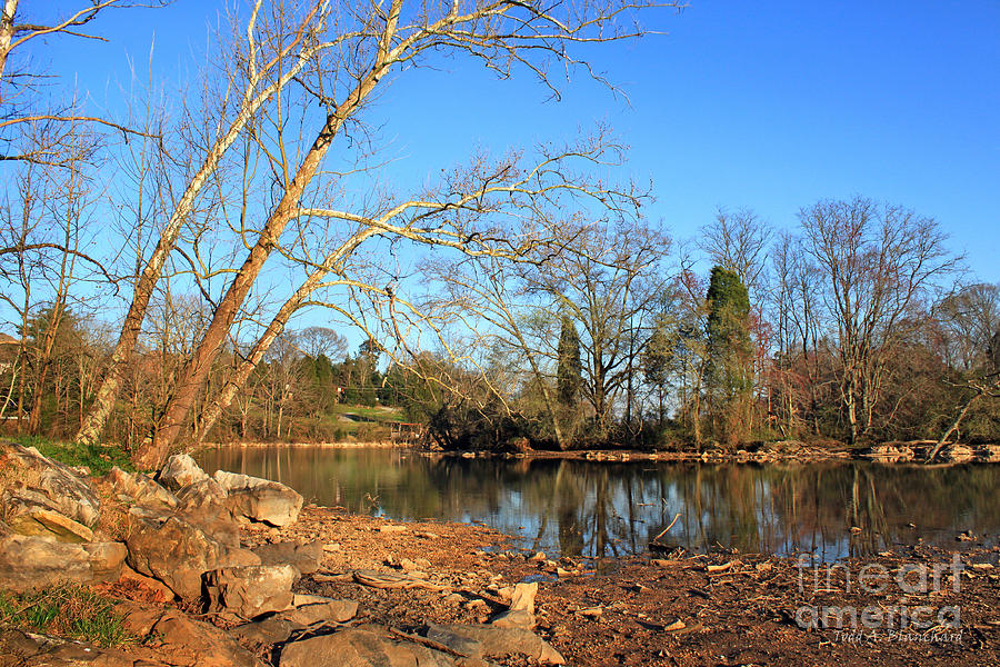 Lake and Trees in Early Spring Photograph by Todd Blanchard