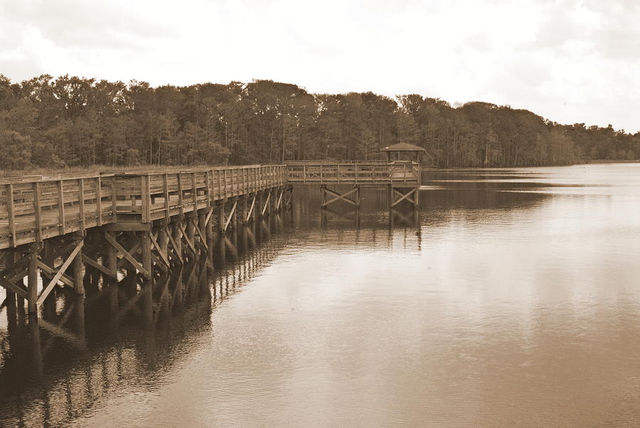 Lake Ashby Boardwalk Sephia Tone Photograph by Classic Color Creations ...