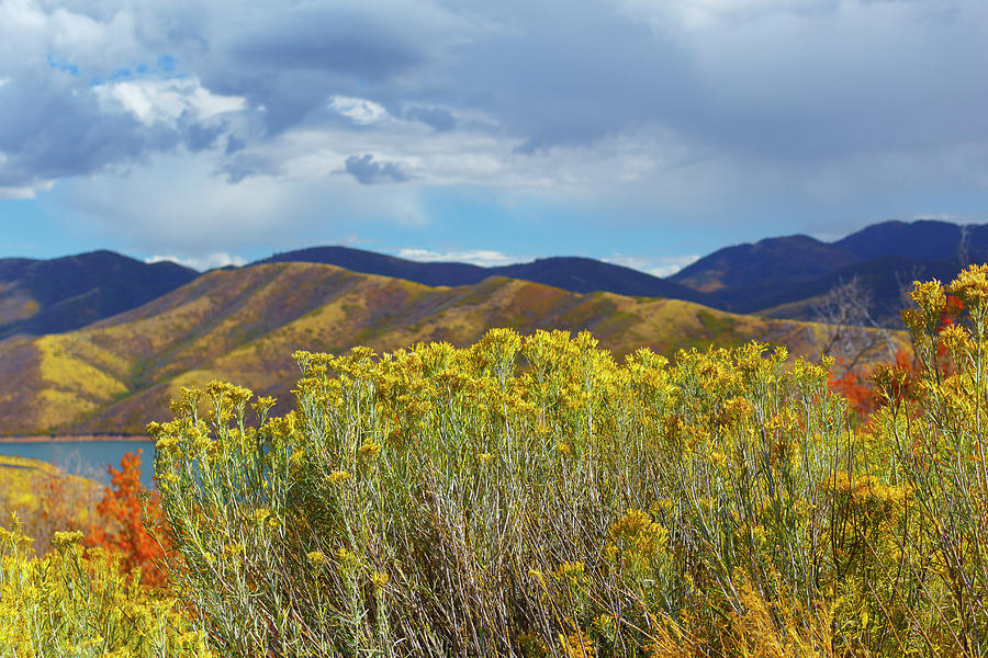 Lake At Emigration Canyon Photograph by Todd Mitchell - Fine Art America