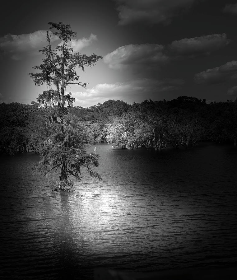 Lake at night Photograph by Cecil Fuselier