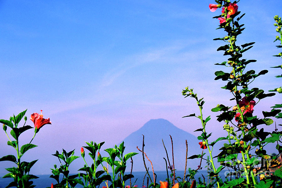 Lake Atitlan Flowers and Peaks Photograph by Thomas R Fletcher