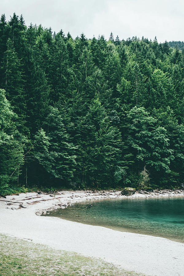 Lake Beach By Forest Photograph by Pati Photography | Fine Art America