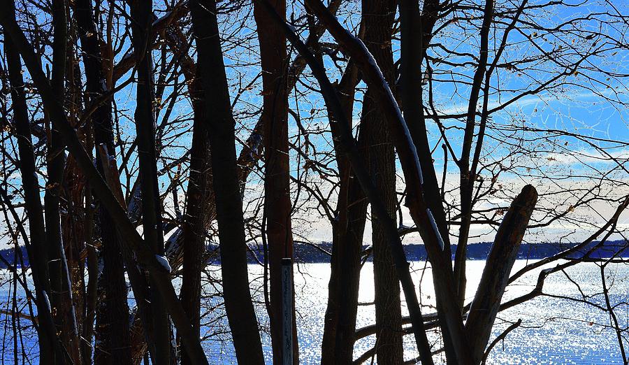 Lake Beyond The Trees Two  Digital Art by Lyle Crump