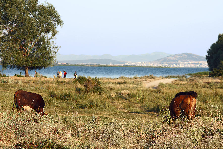 Lake Beysehir Turkey Photograph by Sally Weigand
