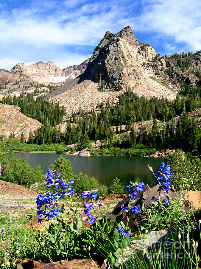 Lake Blanche and Sundial Peak Photograph by Spencer Baugh