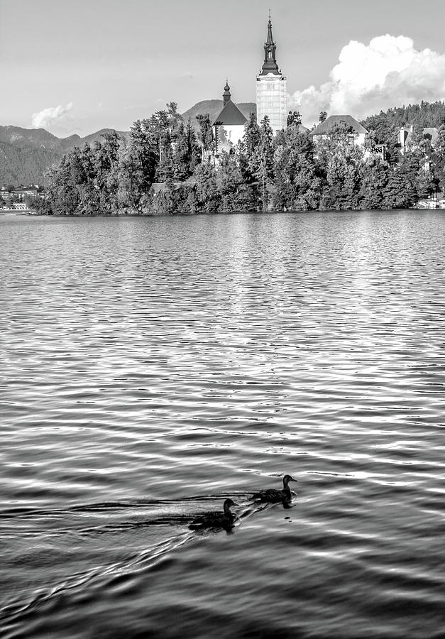 Lake Bled in Black and White Photograph by Andrew Matwijec