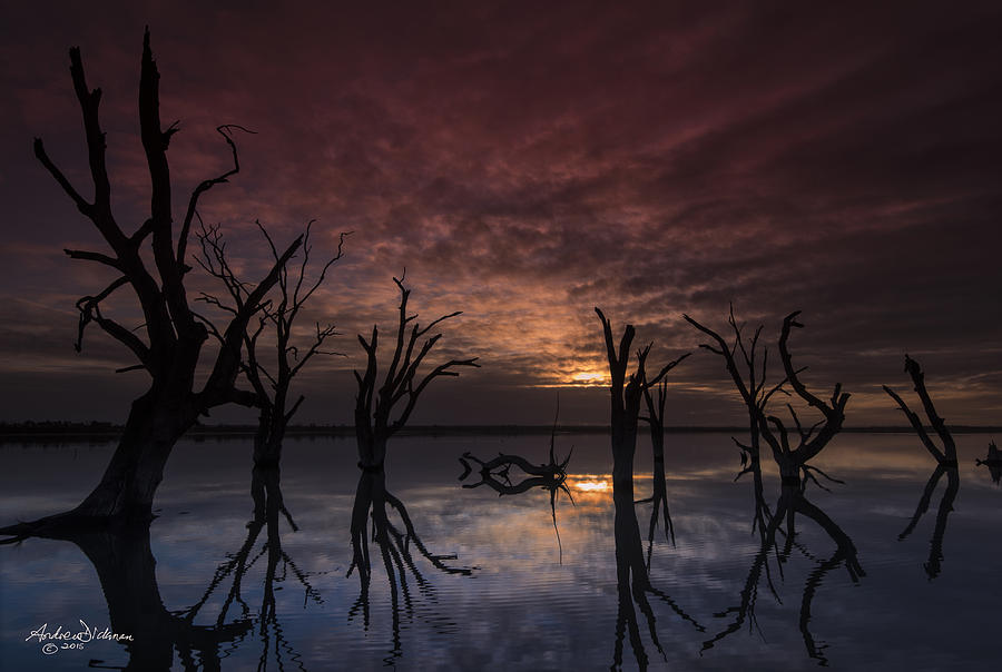 Lake Bonney Photograph by Andrew Dickman