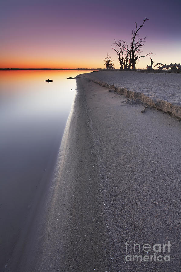 Lake Bonney Sunrise Barmera Riverland South Australia Photograph by Bill  Robinson