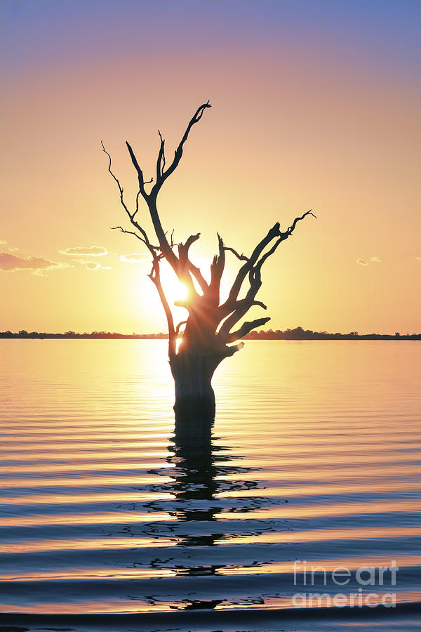 Lake Bonney Sunset by Ray Warren Lake Bonney Sunset by Ray Warren
