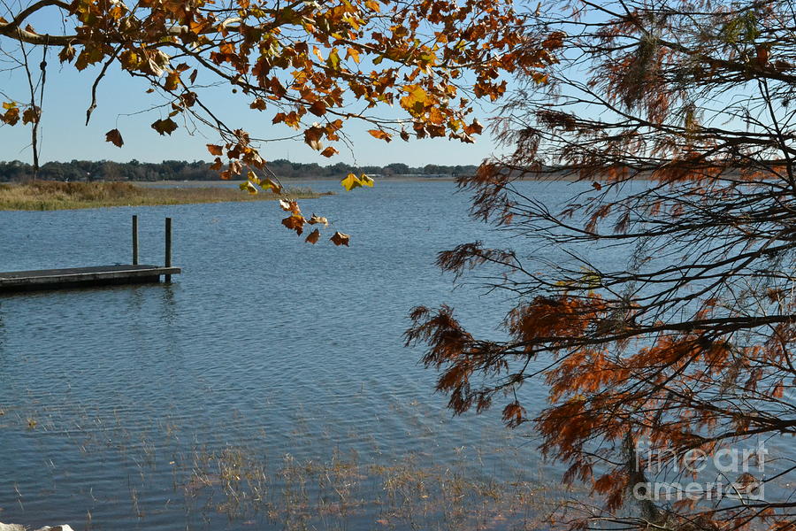 Lake Bonny Autumn Photograph by Carol  Bradley