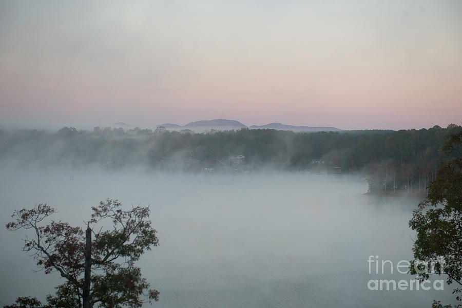 Lake Bowen Foggy Morning Photograph by Dale Powell