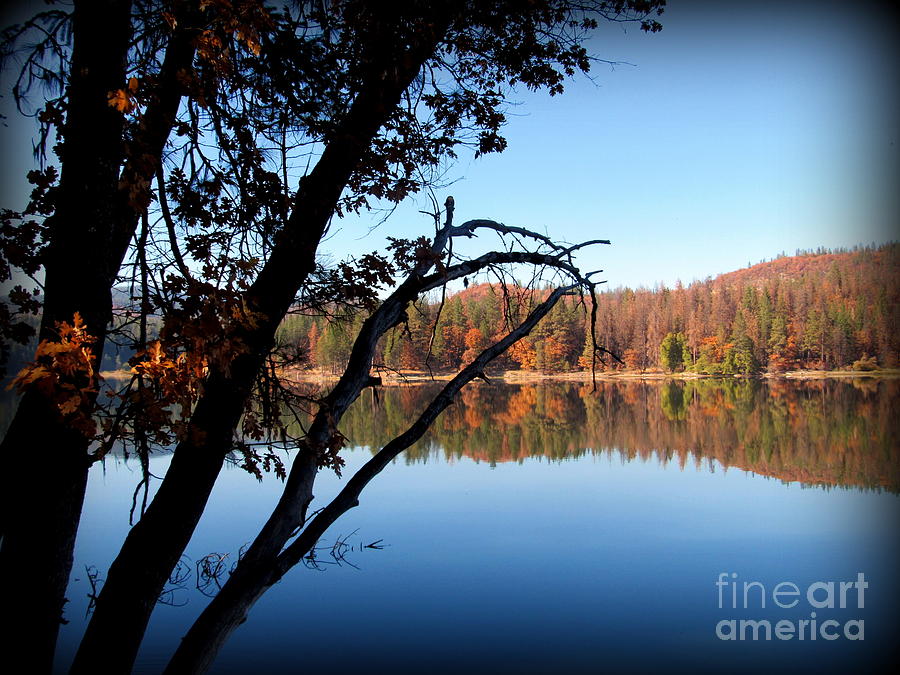 Lake Photograph - Lake Britton at Burney Falls State Park by Joy Patzner Lake Photograph - Lake Britton at Burney Falls State Park by Joy Patzner
