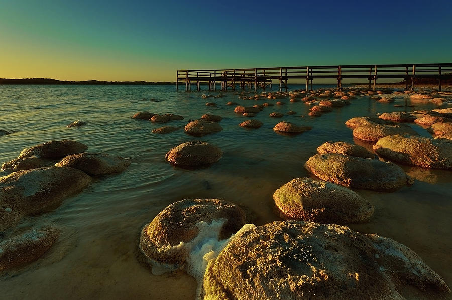 Lake Clifton Thrombolites Photograph by Heather
