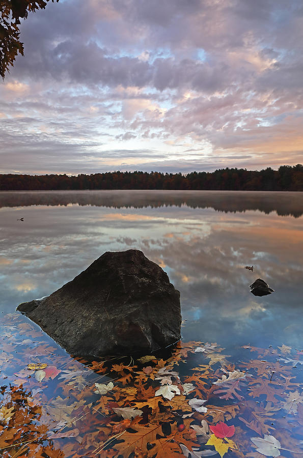Lake Cochituate Photograph by Juergen Roth