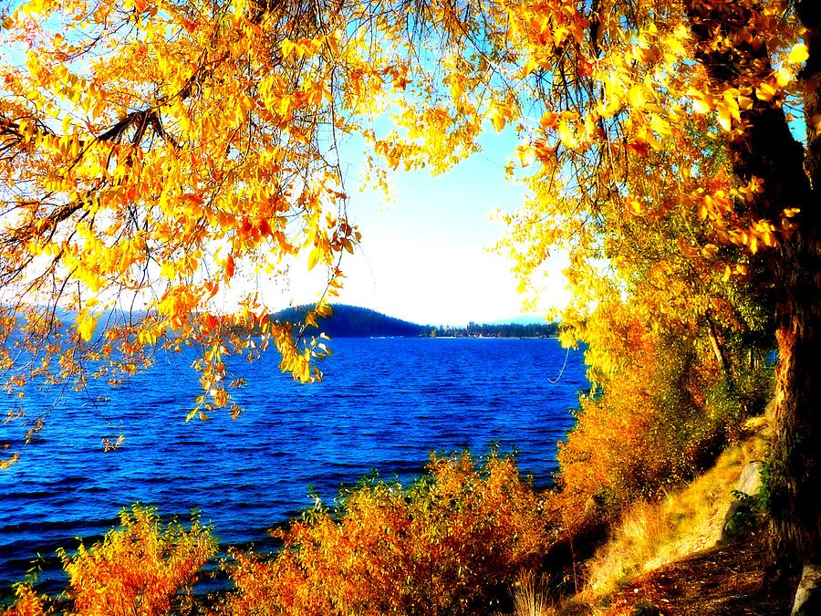 Lake Coeur dAlene through Golden Leaves Photograph by Carol Groenen