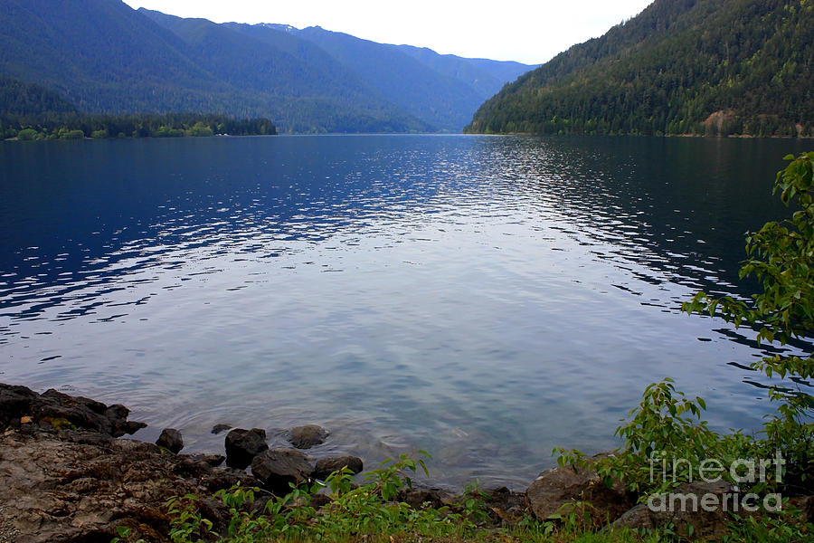 Lake Crescent - Digital Painting Photograph by Carol Groenen