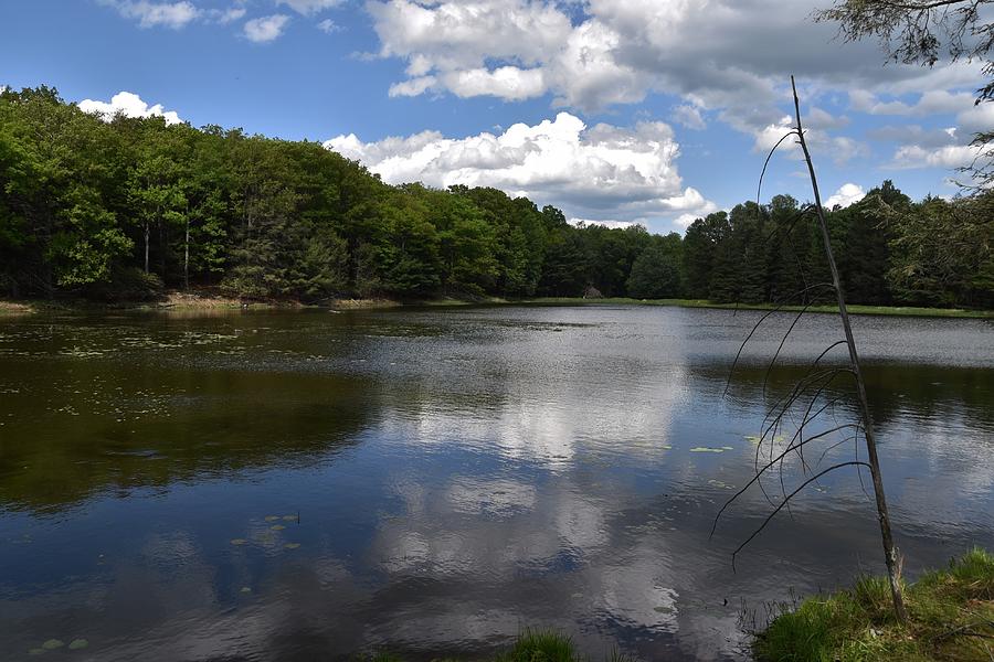 Lake Day Photograph by Leigh Ann Pratt - Fine Art America