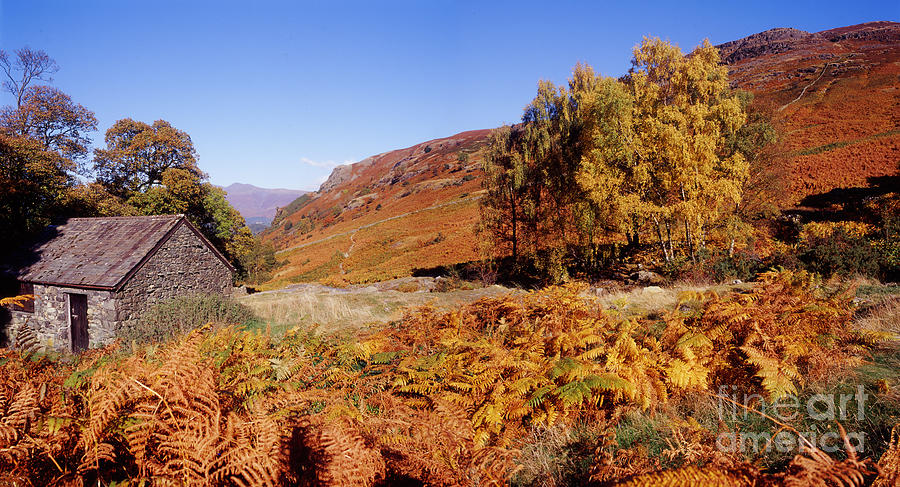 Lake District autumn scene Photograph by Warren Photographic