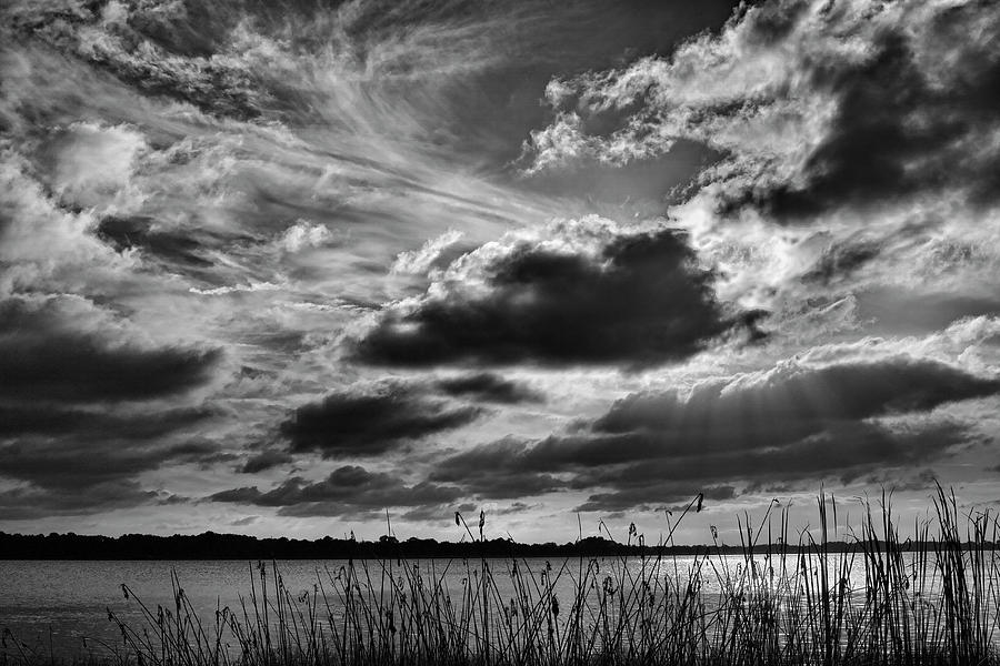 Lake Dora Black and White Photograph by Roberto Aloi